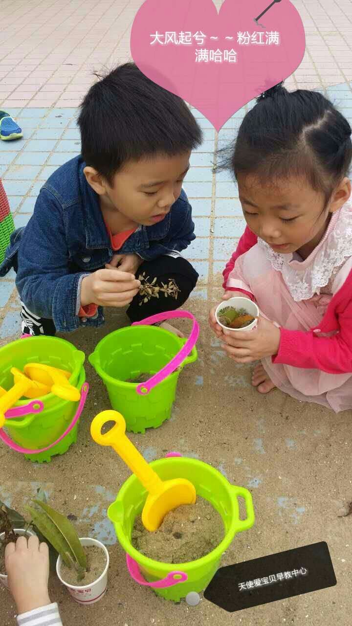 天使蒙氏CASA班-