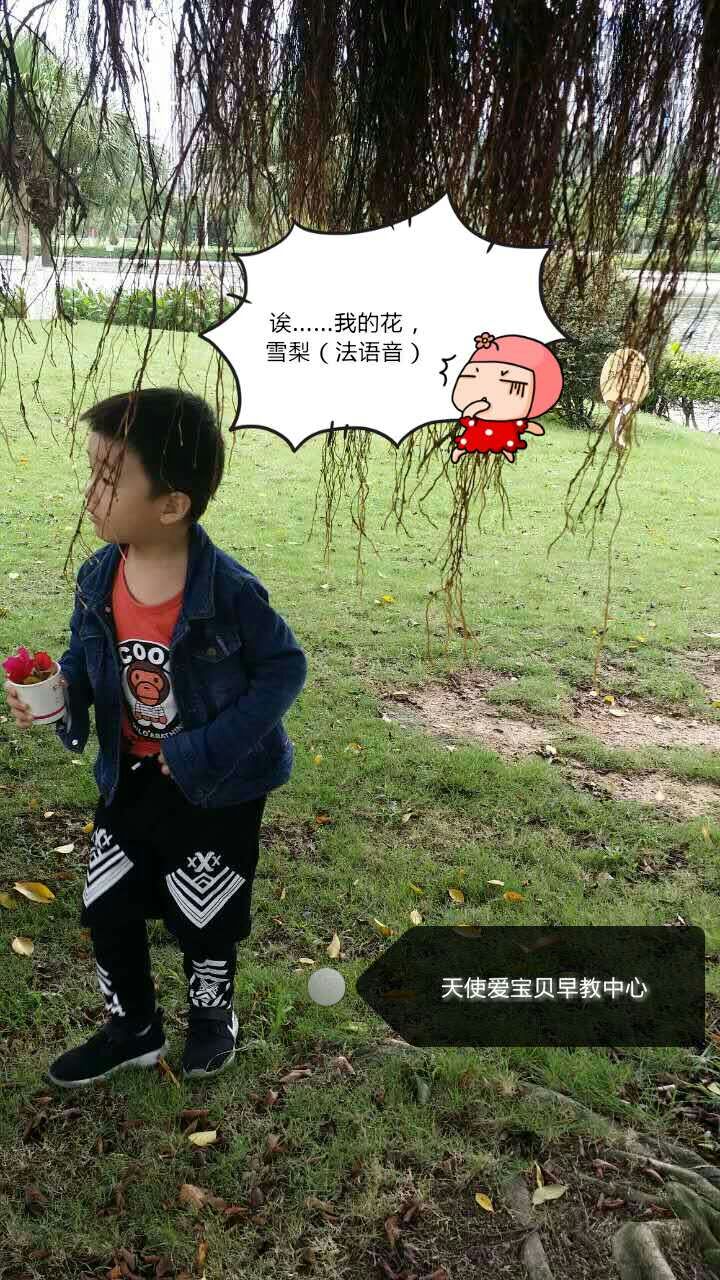 天使蒙氏CASA班-