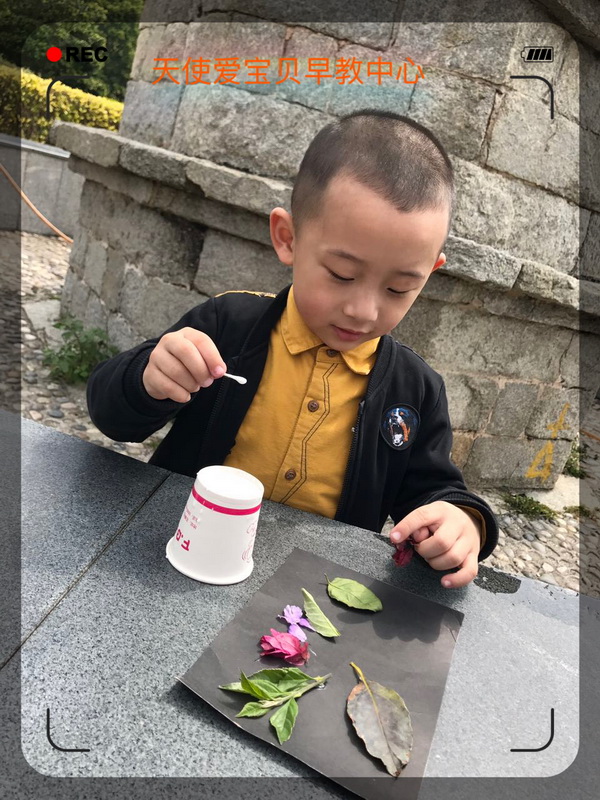 大自然的作品