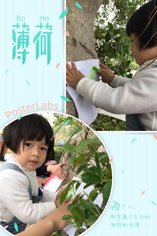 清新大自然