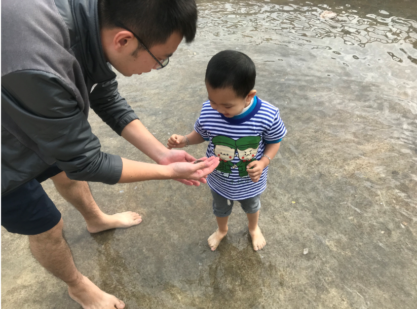 看是泥鰍
