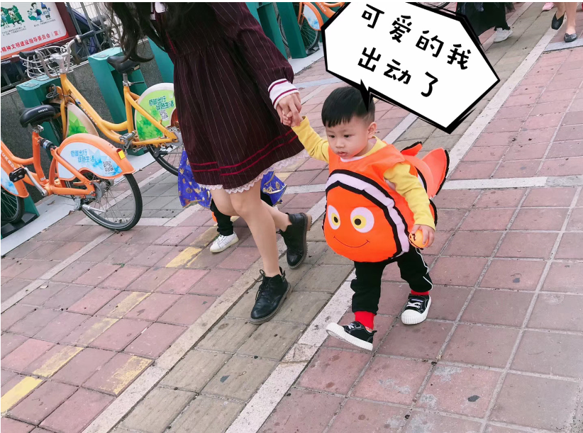 小魚(yú)出動(dòng)了